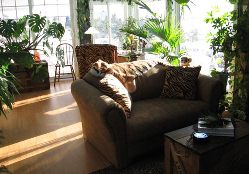 Kelowna Nail Technician, Kelowna Nail Studio, Kelowna Nail Salon, Sonia's Nail Studio