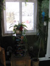 Kelowna Nail Technician, Kelowna Nail Studio, Kelowna Nail Salon, Sonia's Nail Studio
